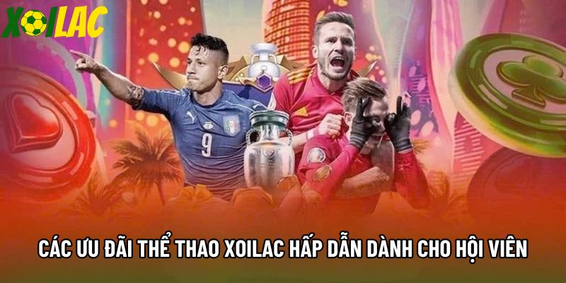 Tổng hợp ưu đãi thể thao xoilac hấp dẫn dành cho hội viên Tổng hợp ưu đãi thể thao xoilac hấp dẫn dành cho hội viên