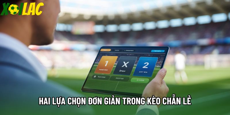Hai lựa chọn đơn giản trong kèo chẵn lẻ Hai lựa chọn đơn giản trong kèo chẵn lẻ