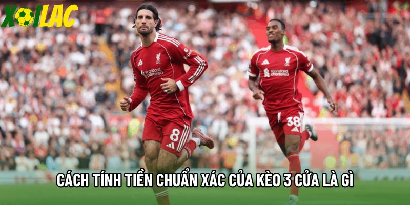 Cách tính tiền chuẩn xác của kèo 3 cửa là gì Cách tính tiền chuẩn xác của kèo 3 cửa là gì