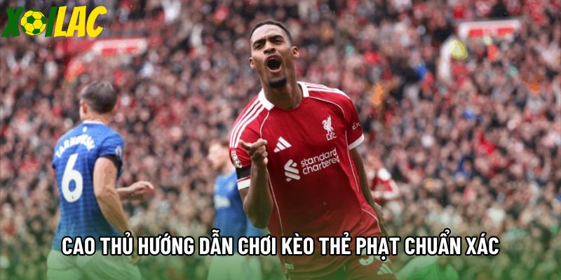 Cao thủ hướng dẫn chơi kèo thẻ phạt chuẩn xác Cao thủ hướng dẫn chơi kèo thẻ phạt chuẩn xác