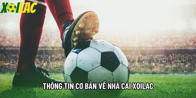 Thông tin cơ bản về nhà cái Xoilac Thông tin cơ bản về nhà cái Xoilac