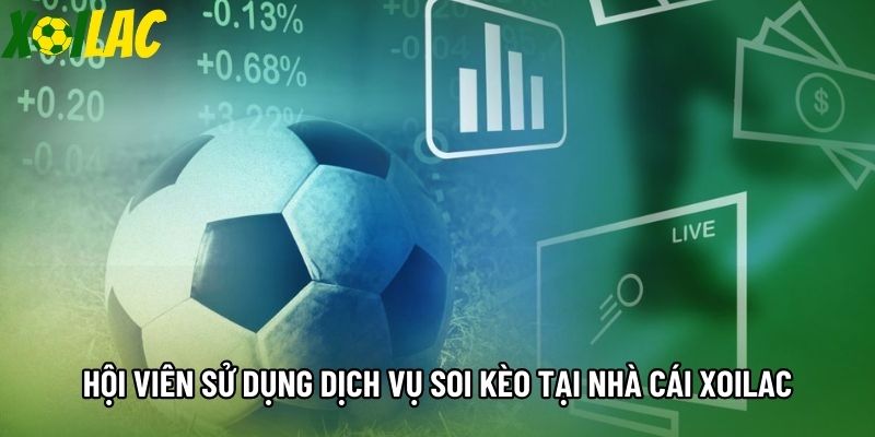 Hội viên sử dụng dịch vụ soi kèo tại nhà cái Xoilac Hội viên sử dụng dịch vụ soi kèo tại nhà cái Xoilac
